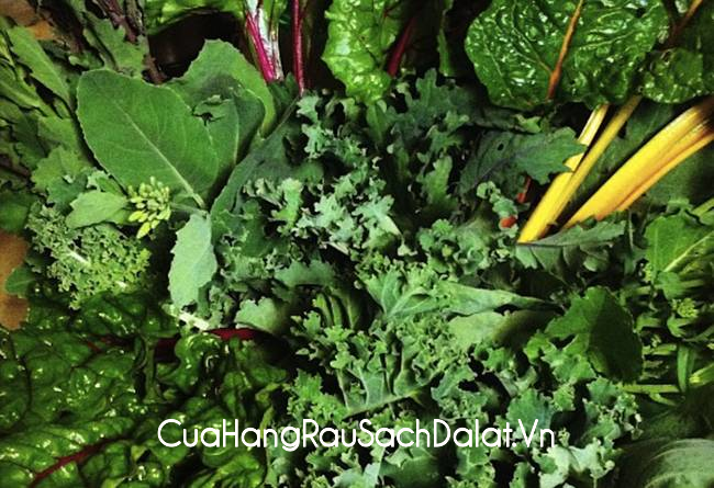 dia-chi-cung-cap-rau-sach-chat-luong-tu-nha-vuon-da-lat